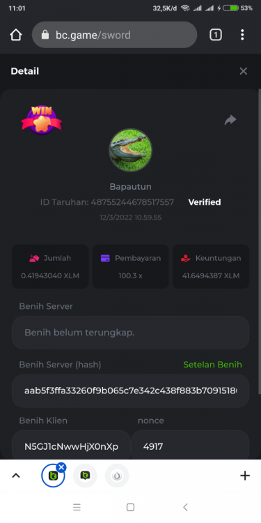 Screenshot_2022-03-12-11-01-04-150_com.android.chrome.png